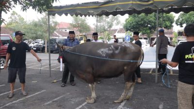 Delapan Ekor kambing dan Sembilan Sapi untuk Pengurus Muslim Polresta Denpasar