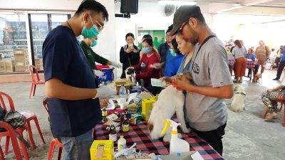 Wanita Katolik Republik Indonesia (WKRI) Cabang Roh Kudus Katedral Denpasar gelar vaksin rabies anjing dan kucing di Baseman Gereja Katedral Denpasar. Foto ist