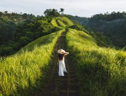Tempat Wisata Bali Gratis, Modal Dua Ribu Sepuasnya Jajal Campuhan Ridge Walk Ubud dan Pandangi ‘Raksasa’ Gunung Agung
