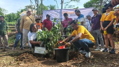 LinkNet–Pertamina Foundation Hijaukan 2,5 Hektare Perbukitan Dencarik.