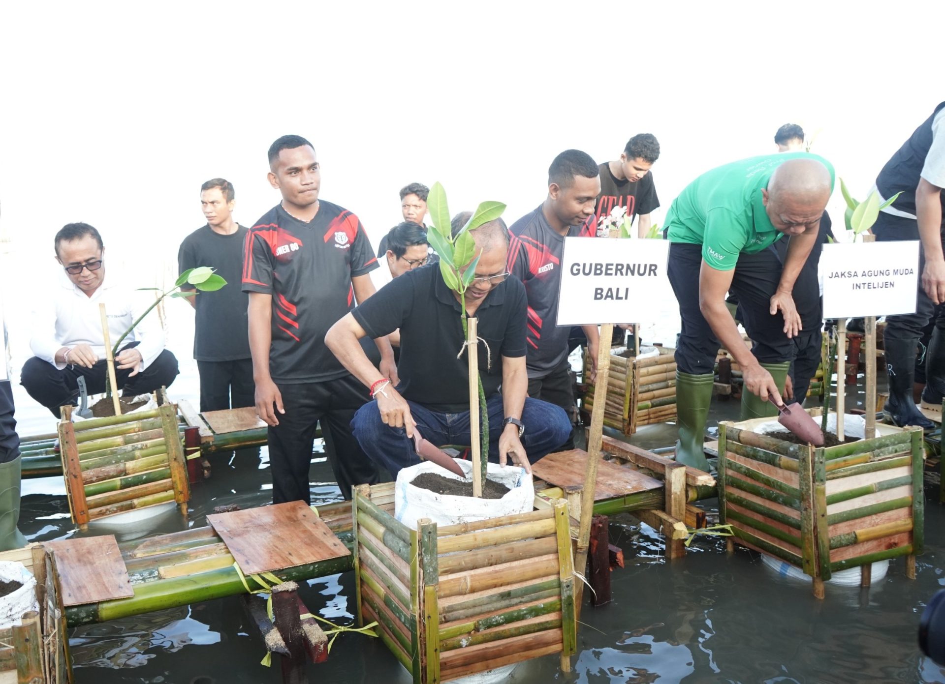 Koster Harap Rutinitas Tanam Mangrove Diikuti Instansi Pemerintah dan Swasta Lain di Bali 1 Koster Harap Rutinitas Tanam Mangrove Diikuti Instansi Pemerintah dan Swasta Lain di Bali.