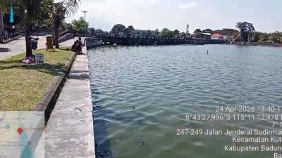 Kondisi Estuary Dam Tanah Kilap, KLH Bali: Bersih dan Terkendali.